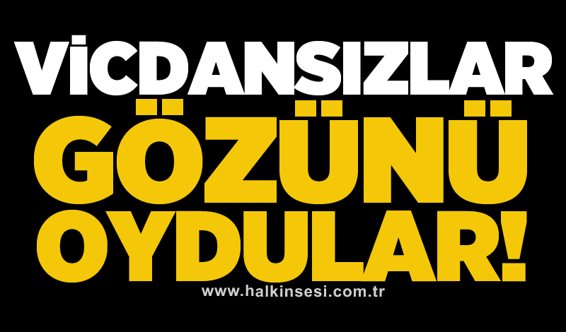 Vicdansızlar gözünü oydular!