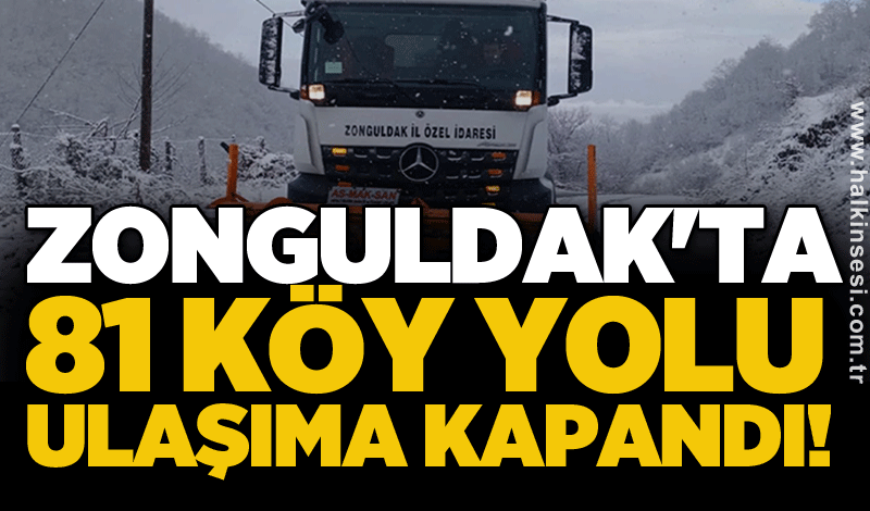 Zonguldak'ta 81 köy yolu ulaşıma kapandı!