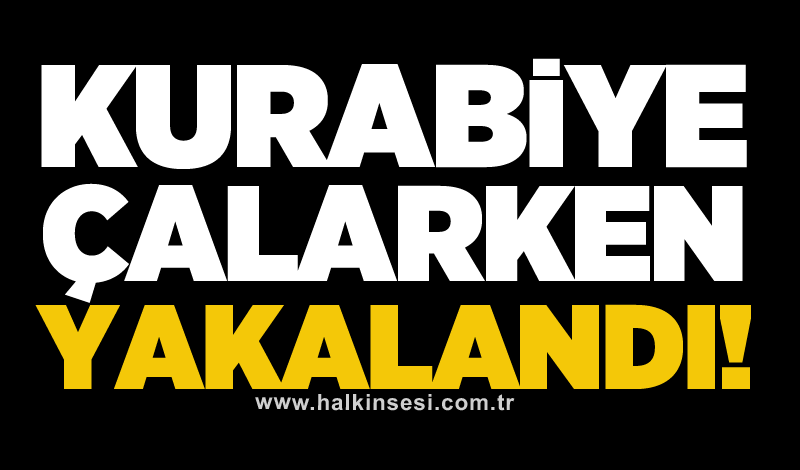 Kurabiye çalarken yakalandı!