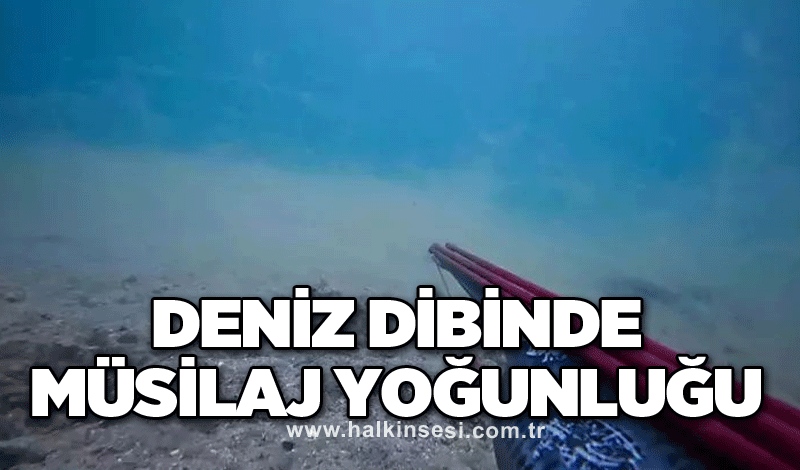 Deniz dibinde müsilaj yoğunluğu