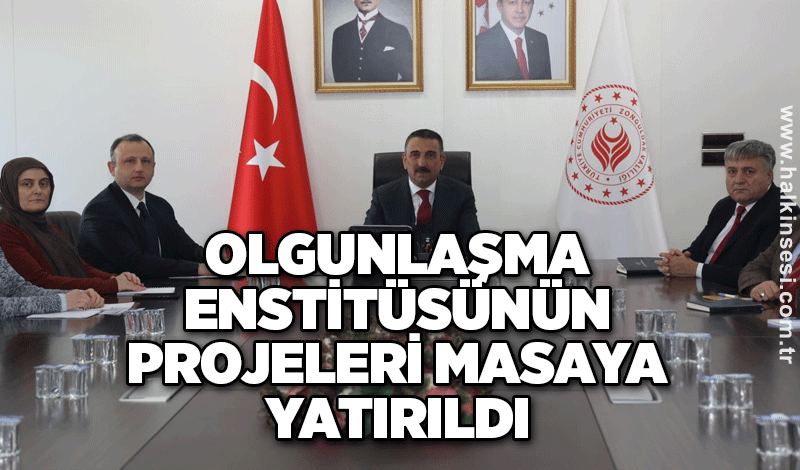 Olgunlaşma Enstitüsünün projeleri masaya yatırıldı