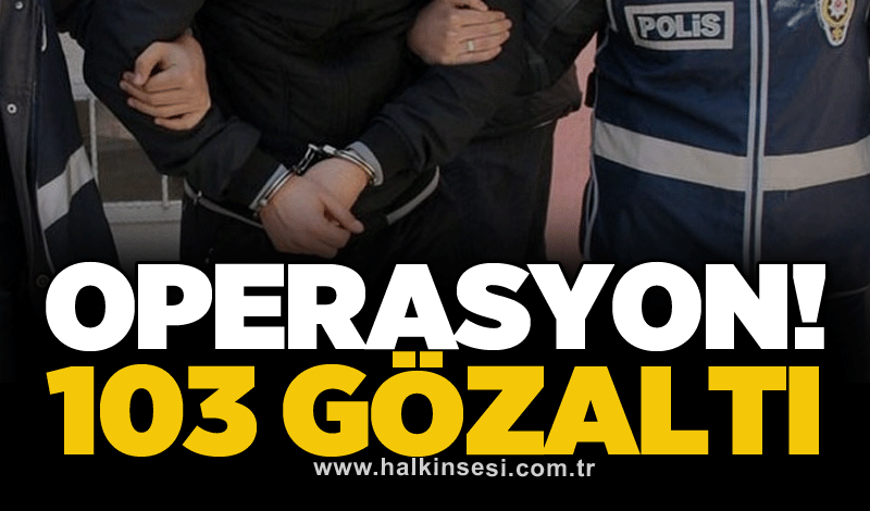 Operasyon! 103 gözaltı