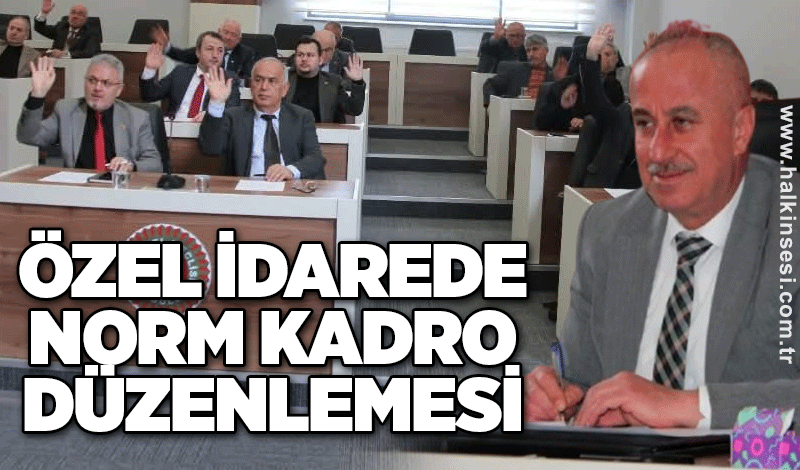 Özel İdarede norm kadro düzenlemesi