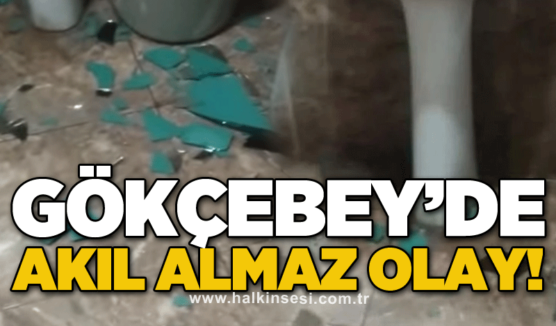 Gökçebey'de akıl almaz olay!