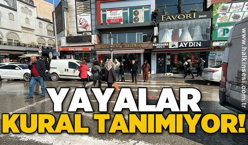 Yayalar kural tanımıyor!