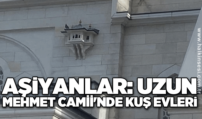 Aşiyanlar: Uzun Mehmet Camii'nde kuş evleri