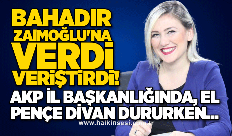 Sevcan Bahadır, Osman Zaimoğlu'na verdi veriştirdi! AKP İl Başkanlığında, el pençe divan dururken...