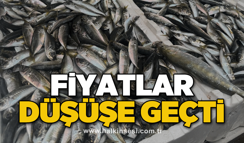 Fiyatlar düşüşe geçti