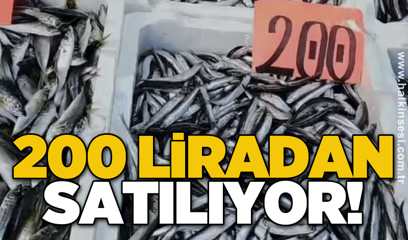 200 liradan satılıyor!