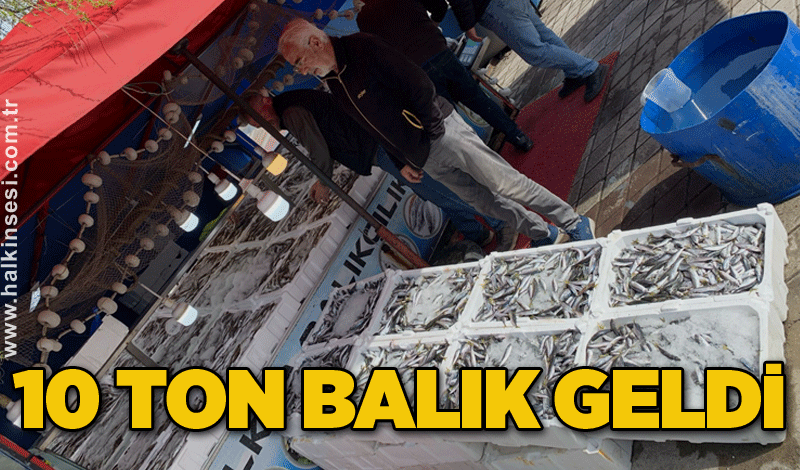 10 ton balık geldi