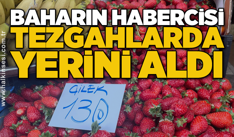 Baharın habercisi tezgahlarda yerini aldı