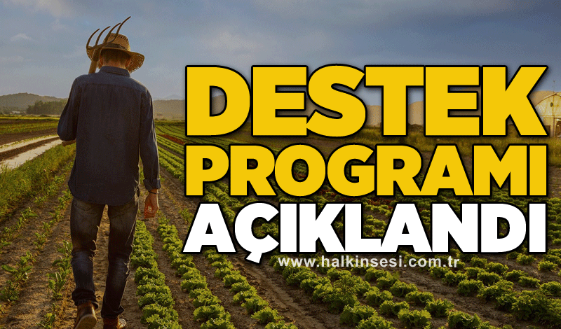 Destek programı açıklandı