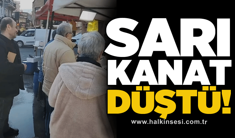 Sarı kanat düştü!