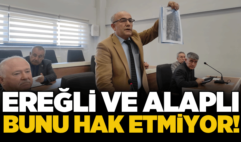 Gündoğdu: Ereğli ve Alaplı bunu hak etmiyor!