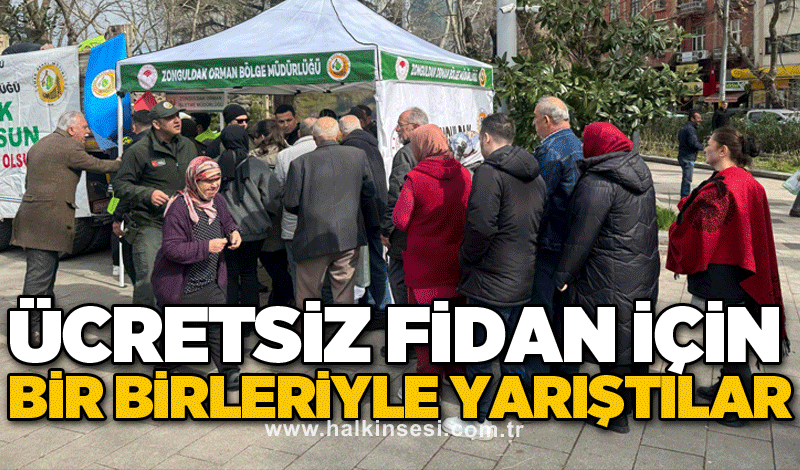 Ücretsiz fidan için bir birleriyle yarıştılar