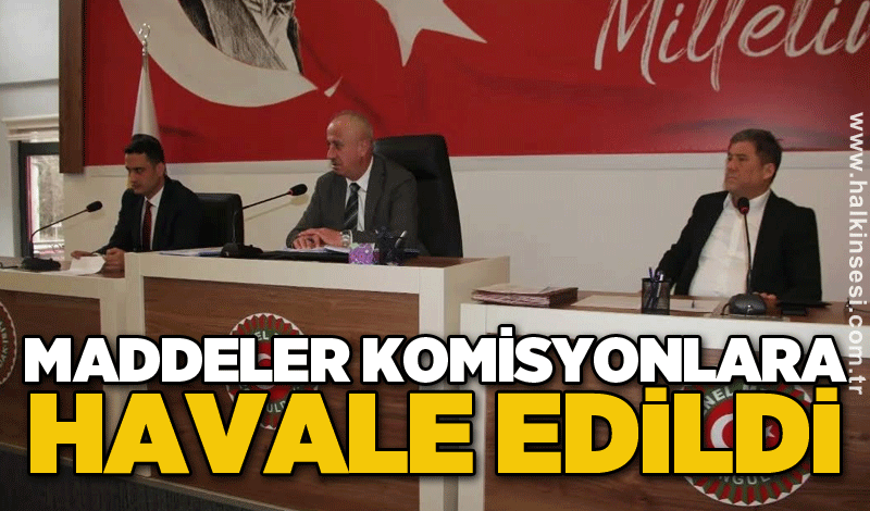 Maddeler komisyonlara havale edildi