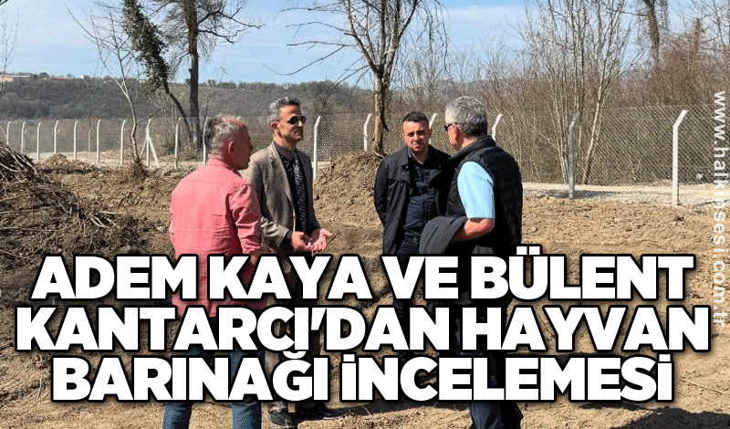 Adem Kaya ve Bülent Kantarcı'dan hayvan barınağı incelemesi