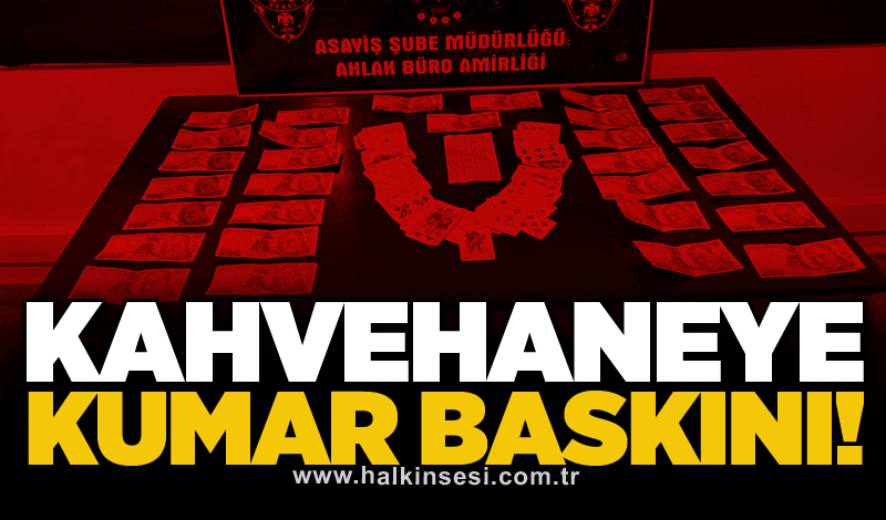 Kahvehaneye kumar baskını!