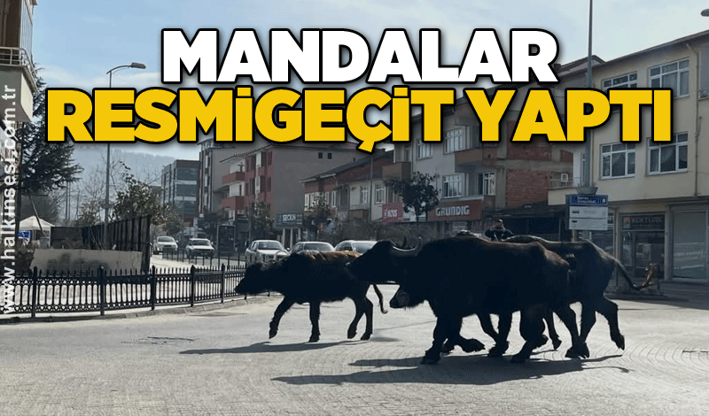 Mandalar resmigeçit yaptı