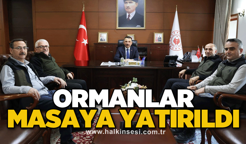 Ormanlar masaya yatırıldı