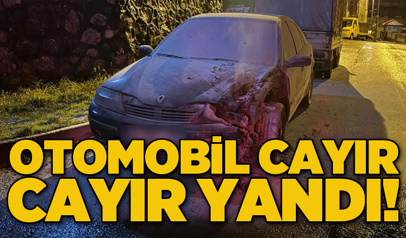 Otomobil cayır cayır yandı!