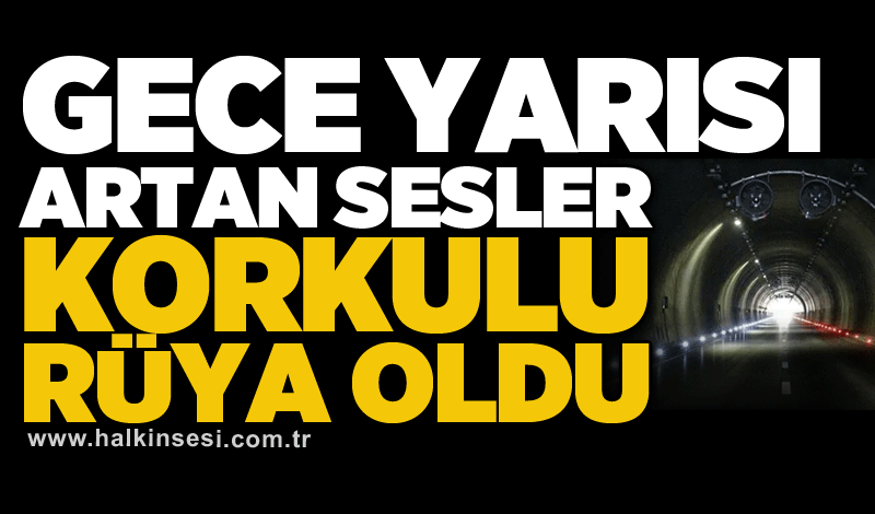 Gece yarısı artan sesler korkulu rüya oldu