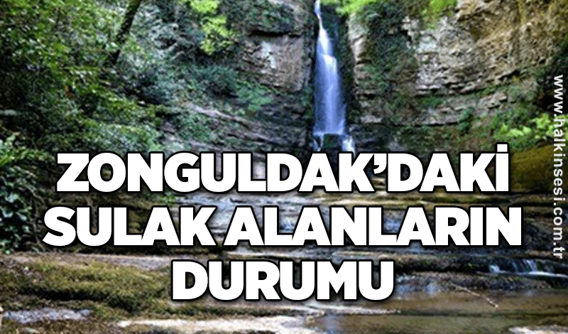 ZONGULDAK’DAKİ SULAK ALANLARIN DURUMU