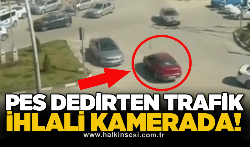 Pes dedirten trafik ihlali kamerada!