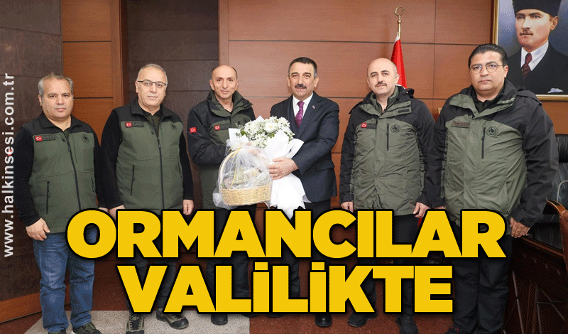 Ormancılar Valilikte