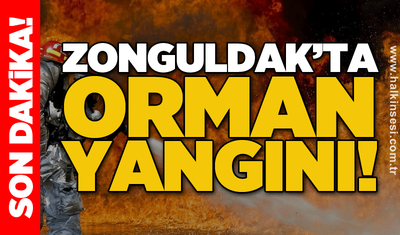 Zonguldak’ta orman yangını!