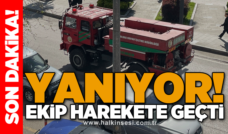 Yanıyor! Ekip harekete geçti