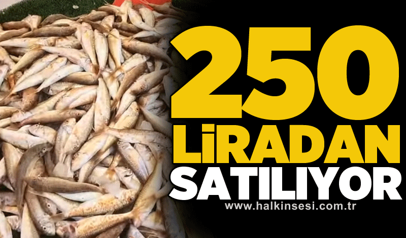250 liradan satılıyor