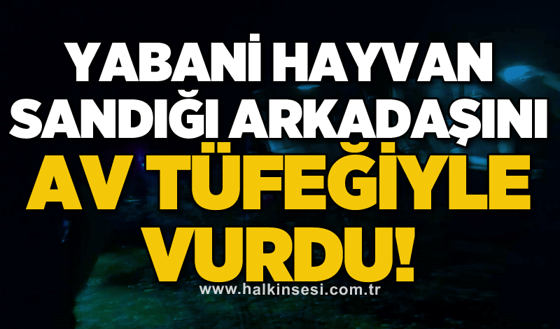 Yabani hayvan sandığı arkadaşını av tüfeğiyle vurdu