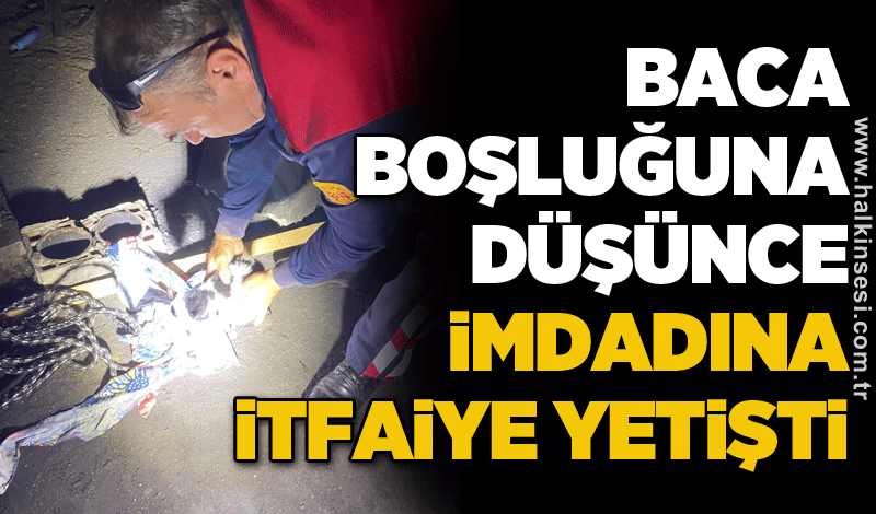 Baca boşluğuna düşünce imdadına itfaiye yetişti