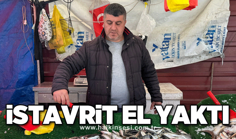 İstavrit el yaktı