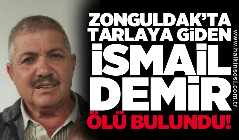 Zonguldak'ta tarlaya giden İsmail Demir ölü bulundu!