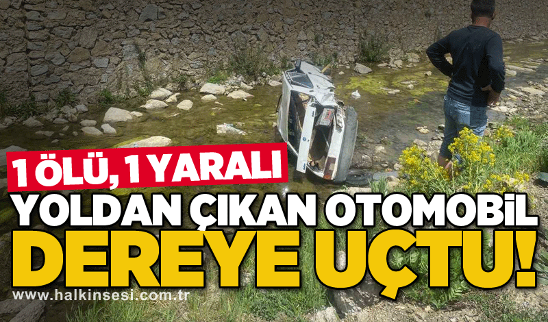 Yoldan çıkan otomobil dereye uçtu!