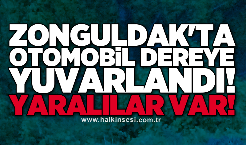 Zonguldak'ta otomobil dereye yuvarlandı! Yaralılar var!