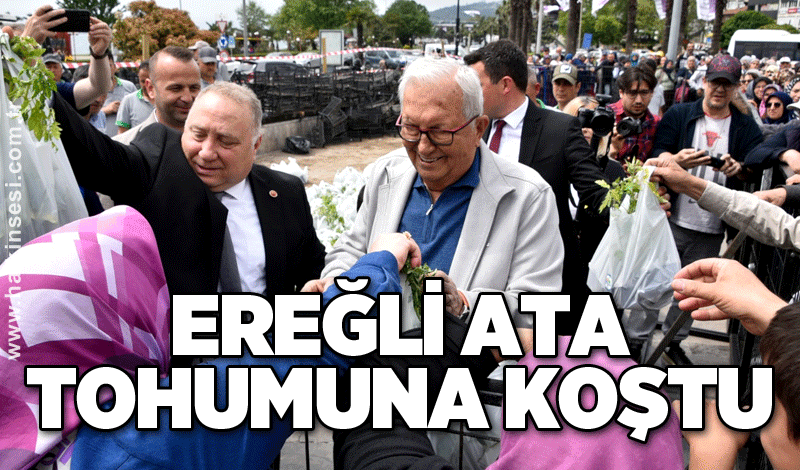 Ereğli Ata tohumuna koştu
