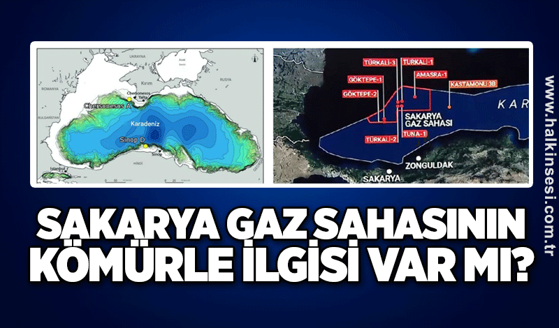 SAKARYA GAZ SAHASININ KÖMÜRLE İLGİSİ VAR MI?