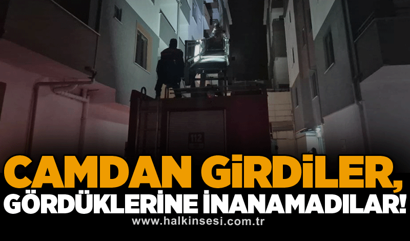 Camdan girdiler, gördüklerine inanamadılar!