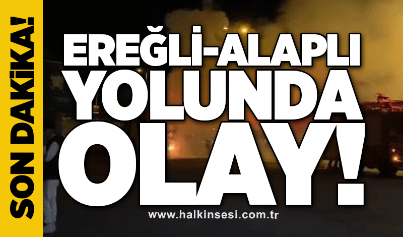 Ereğli-Alaplı yolunda olay!