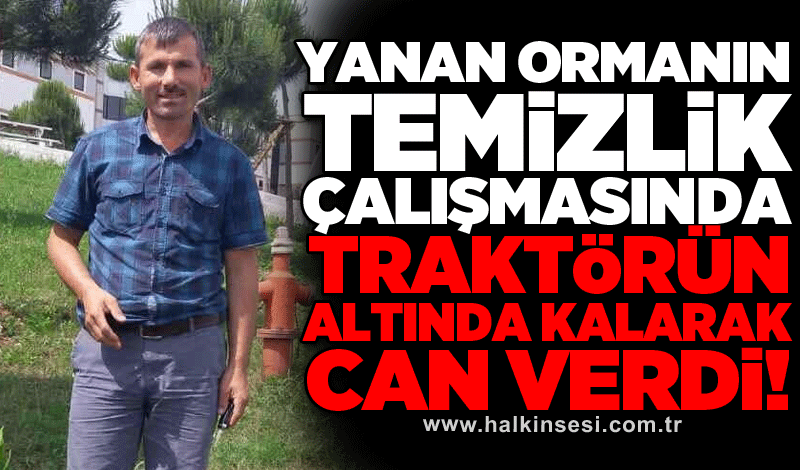 Yanan ormanın temizlik çalışmasında traktörün altında kalarak can verdi