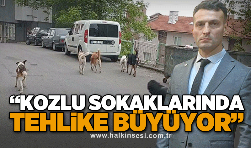 “Kozlu sokaklarında tehlike büyüyor”