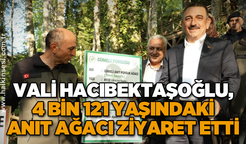 VALİ HACIBEKTAŞOĞLU, 4 BİN 121 YAŞINDAKİ ANIT AĞACI ZİYARET ETTİ