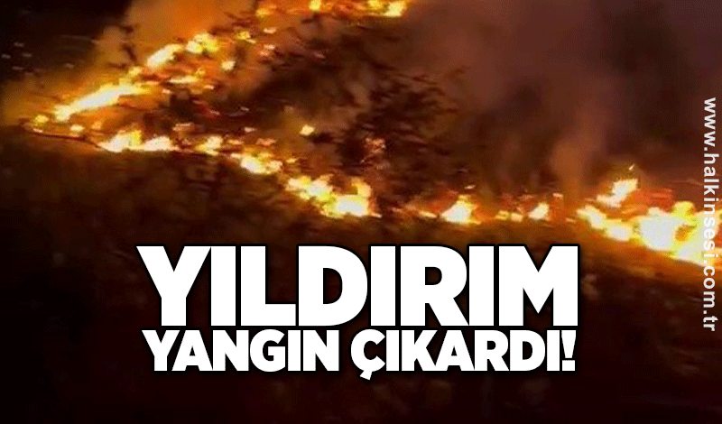 Yıldırım yangın çıkardı