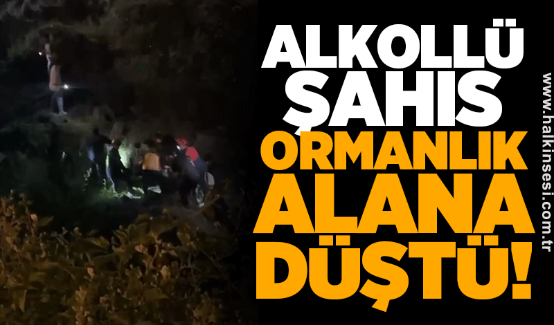 Alkollü şahıs ormanlık alana düştü