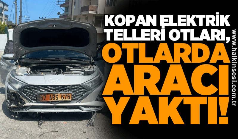 KOPAN ELEKTRİK TELLERİ OTLARI, OTLARDA ARACI YAKTI
