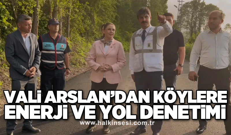 Vali Arslan’dan köylere enerji ve yol denetimi