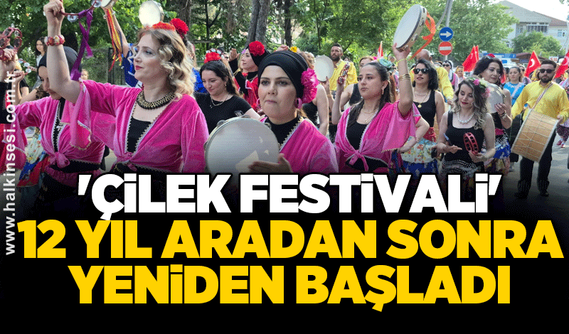 'Çilek Festivali' 12 yıl aradan sonra yeniden başladı